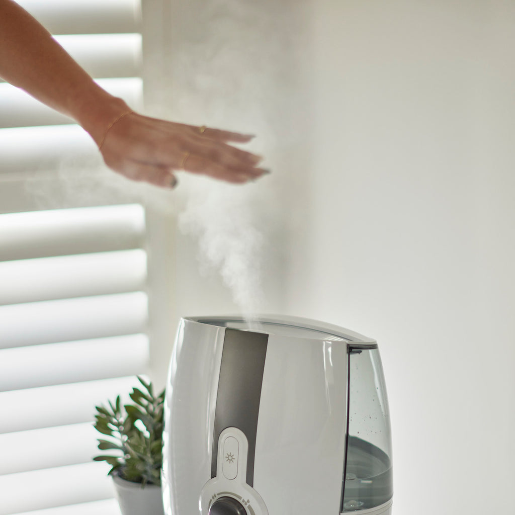 What's the difference between Air Purifier vs Humidifier?